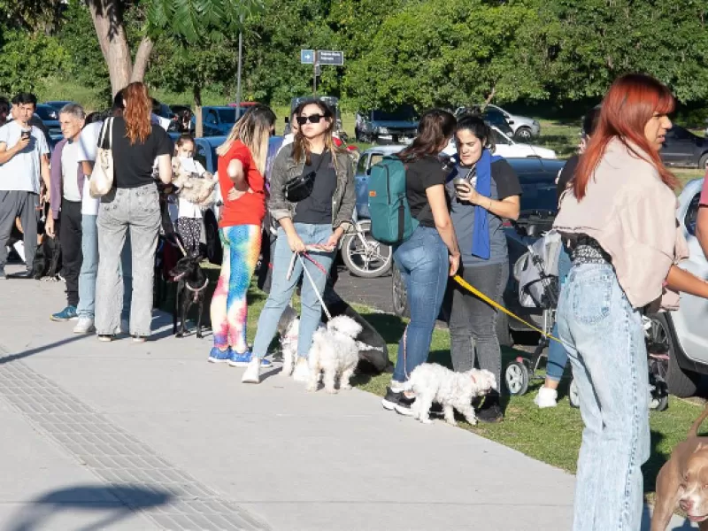 La Municipalidad promueve el cuidado de las mascotas
