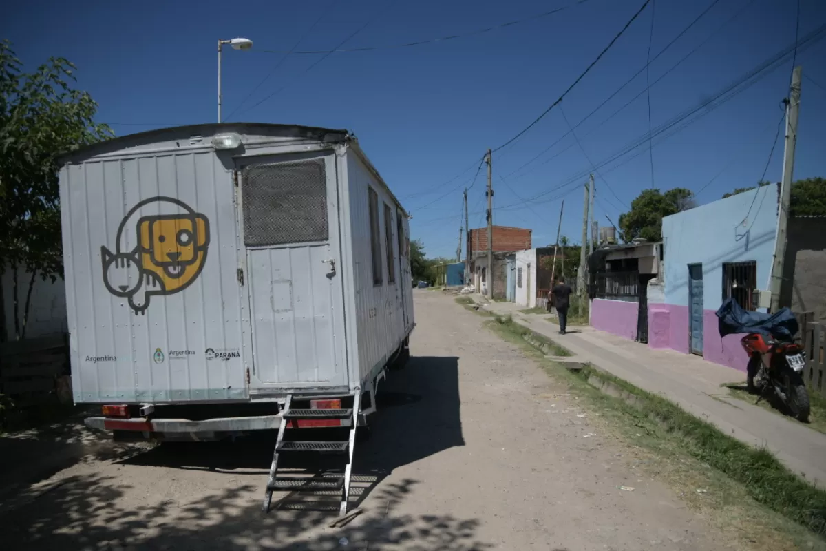 El quir&oacute;fano m&oacute;vil realiz&oacute; 240 castraciones durante enero