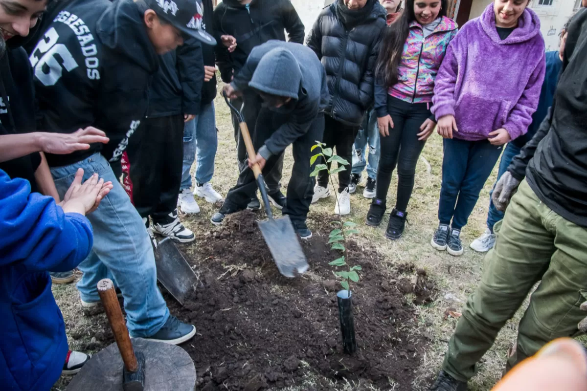 Refuerzan la plantaci&oacute;n de &aacute;rboles nativos en Paran&aacute;