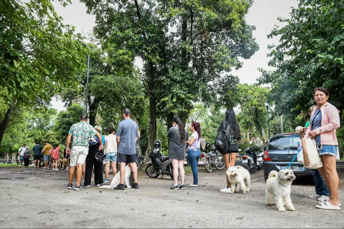 La Municipalidad retom&oacute; los operativos de castraci&oacute;n en los barrios