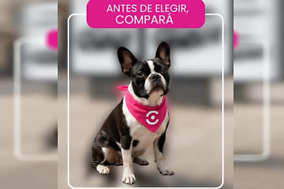 &iquest;Qu&eacute; tener en cuenta al asegurar un auto cuando vives cerca de una frontera?