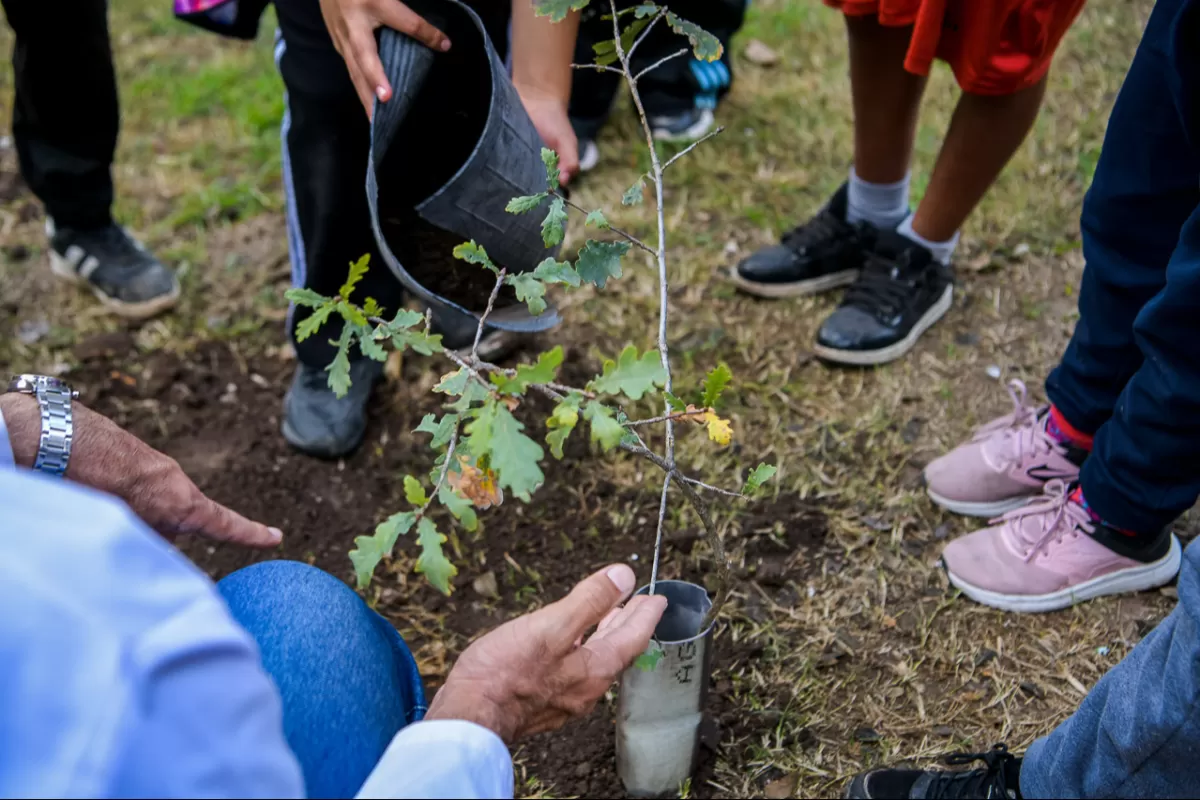 El Municipio celebr&oacute; el D&iacute;a del Ambiente con una jornada de concientizaci&oacute;n para escuelas