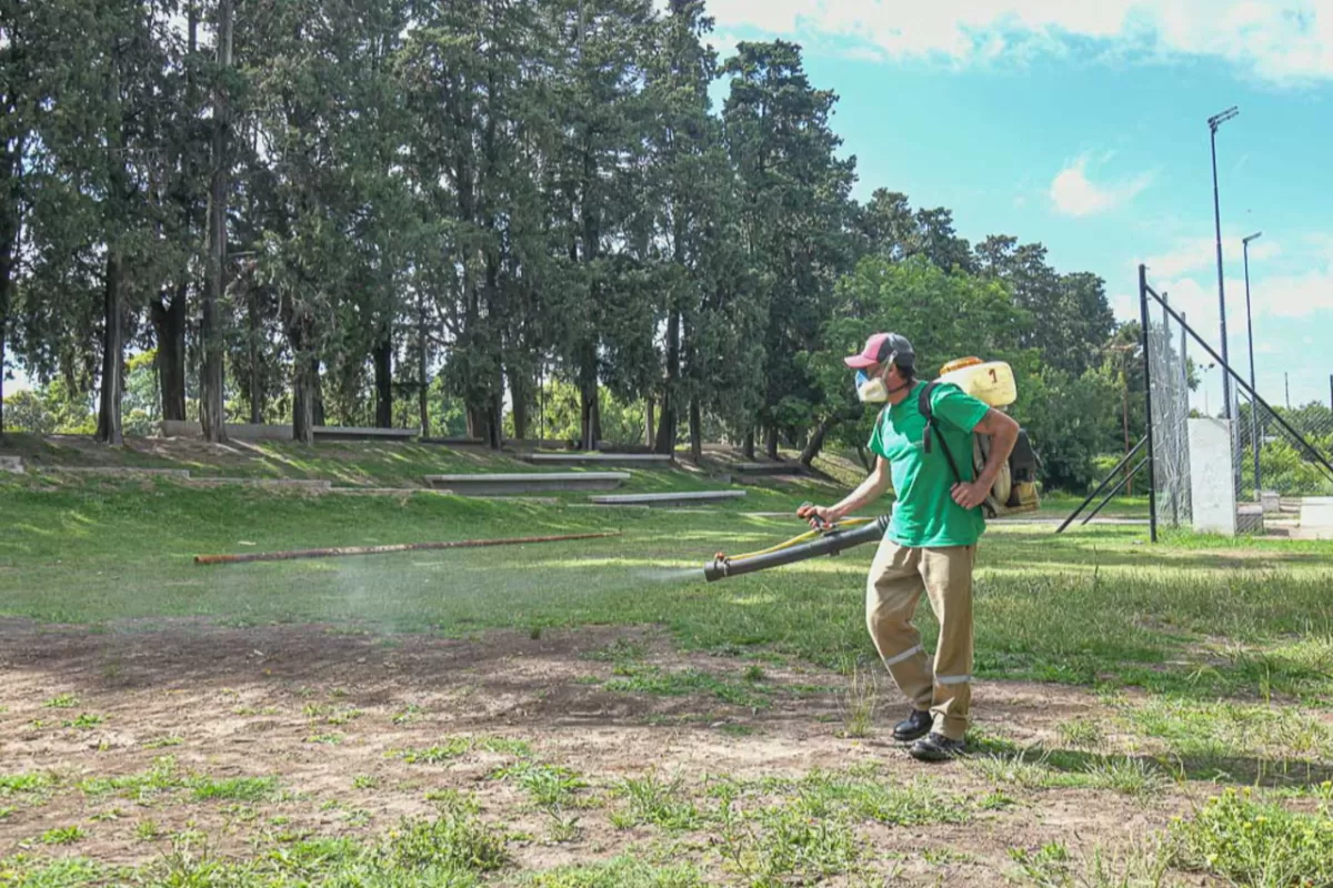 Refuerzan con fumigaciones peri&oacute;dicas el control de plagas y vectores