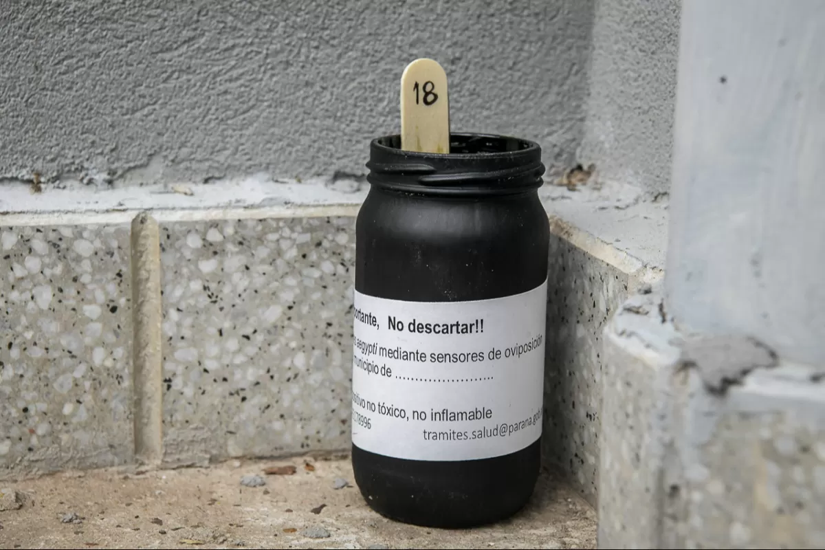 La Municipalidad instala ovitrampas para monitorear el mosquito Aedes Aegypti