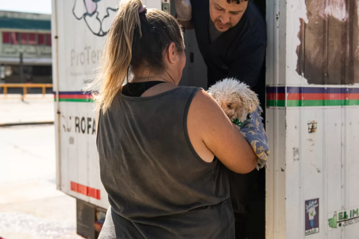 Contin&uacute;an los operativos gratuitos de salud animal en barrios de Paran&aacute;