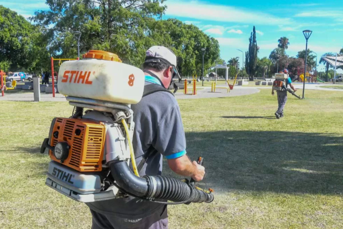 El Municipio continúa con el cronograma de fumigación