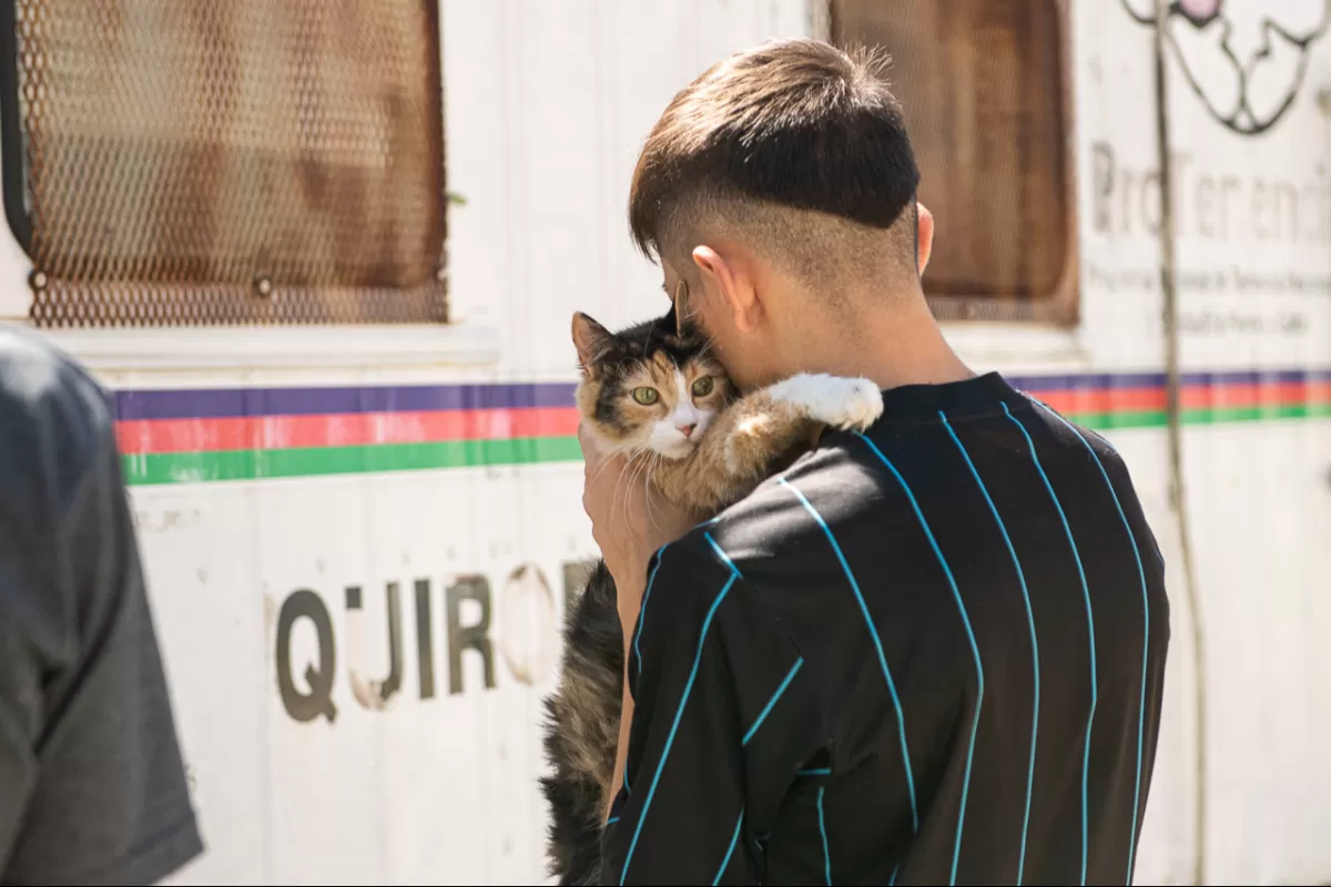 El Municipio contin&uacute;a con los operativos de castraciones y vacunaci&oacute;n antirr&aacute;bica