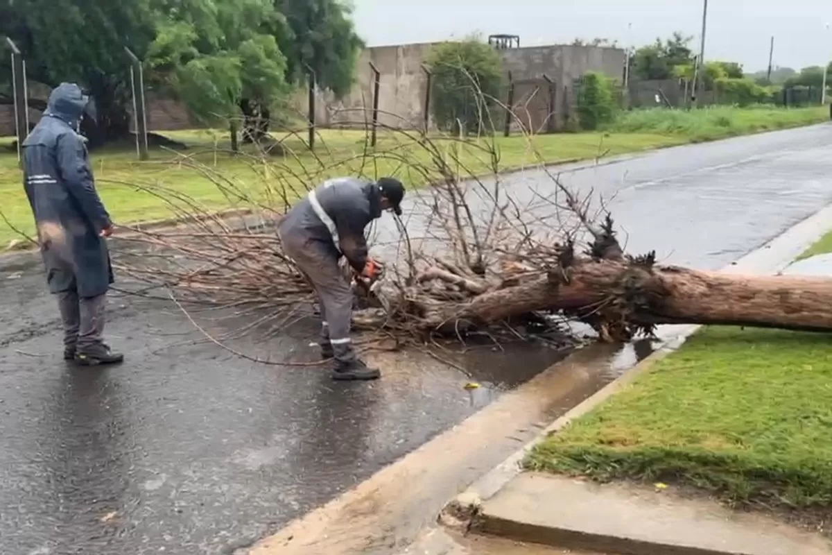El Municipio atiende las contingencias en la ciudad por el temporal