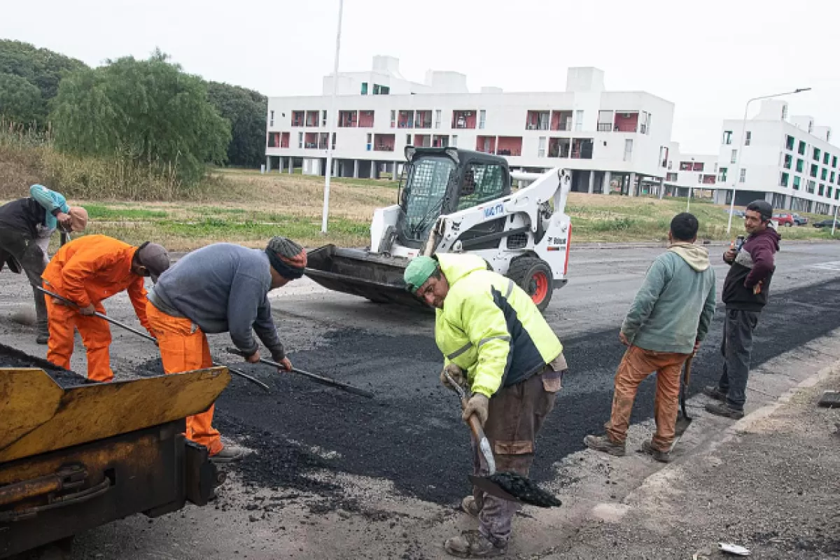 Realizan tareas de mantenimiento en sectores de avenida Ejército y Crausaz