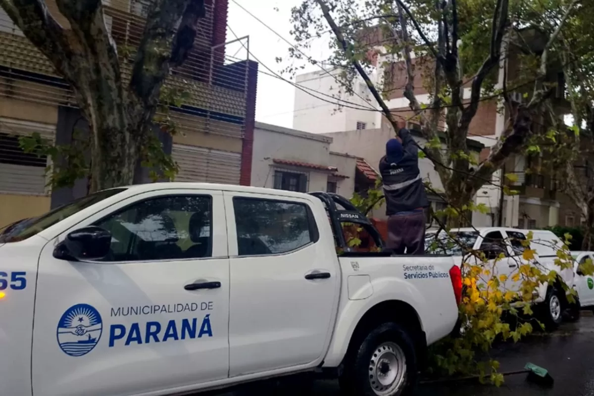 El Municipio atiende las contingencias en la ciudad por la lluvia y viento