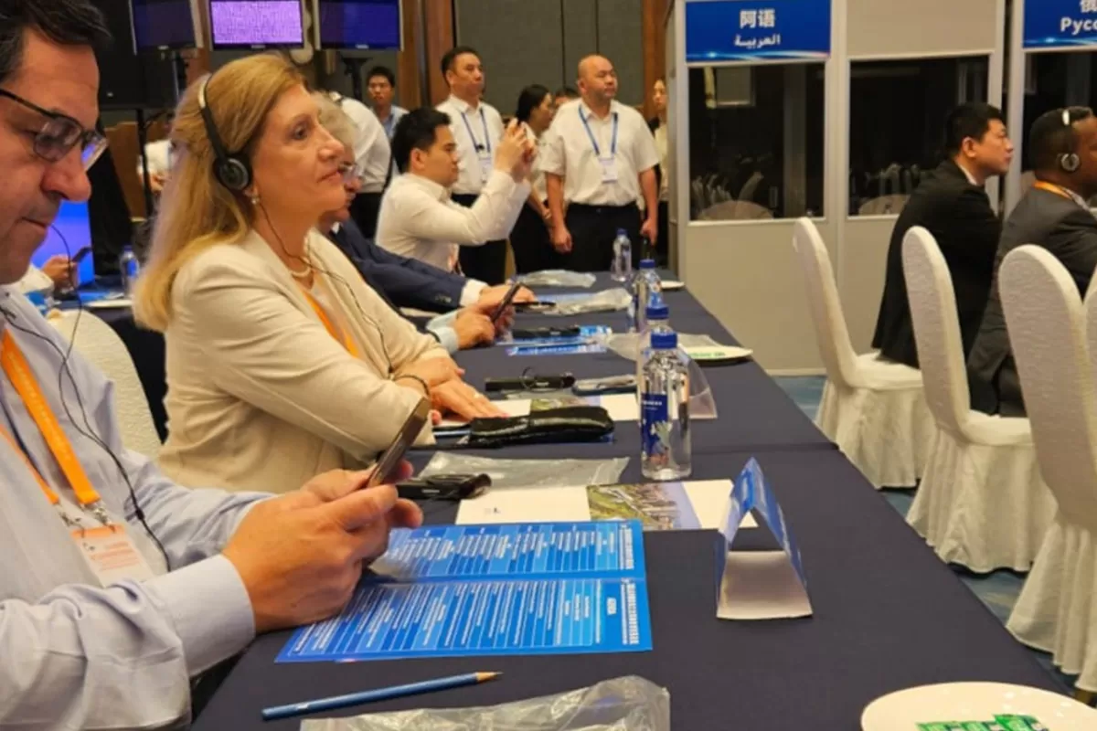 Romero destac&oacute; las oportunidades que abre China para el desarrollo sostenible de Paran&aacute;