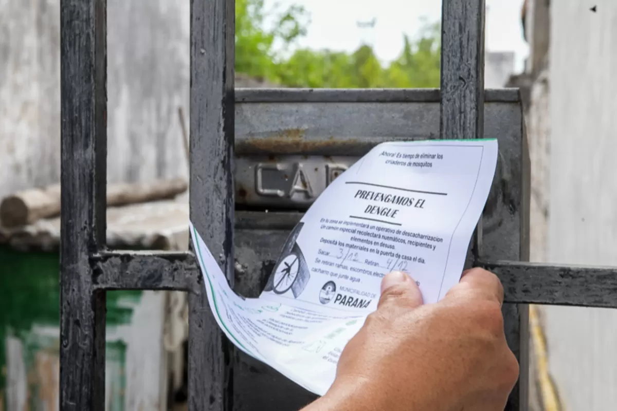 Profundizan las tareas de descacharrizaci&oacute;n y prevenci&oacute;n del dengue