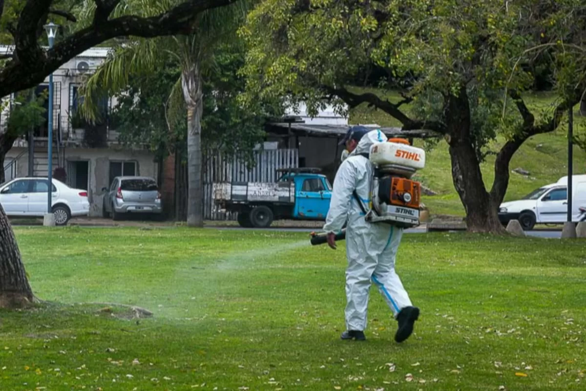 La Municipalidad comenzó con la campaña de fumigación contra mosquitos