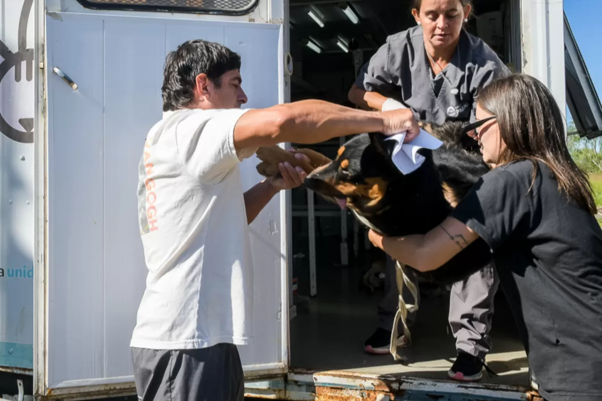 La Municipalidad comienza los operativos de salud animal 2026 en barrios de la ciudad