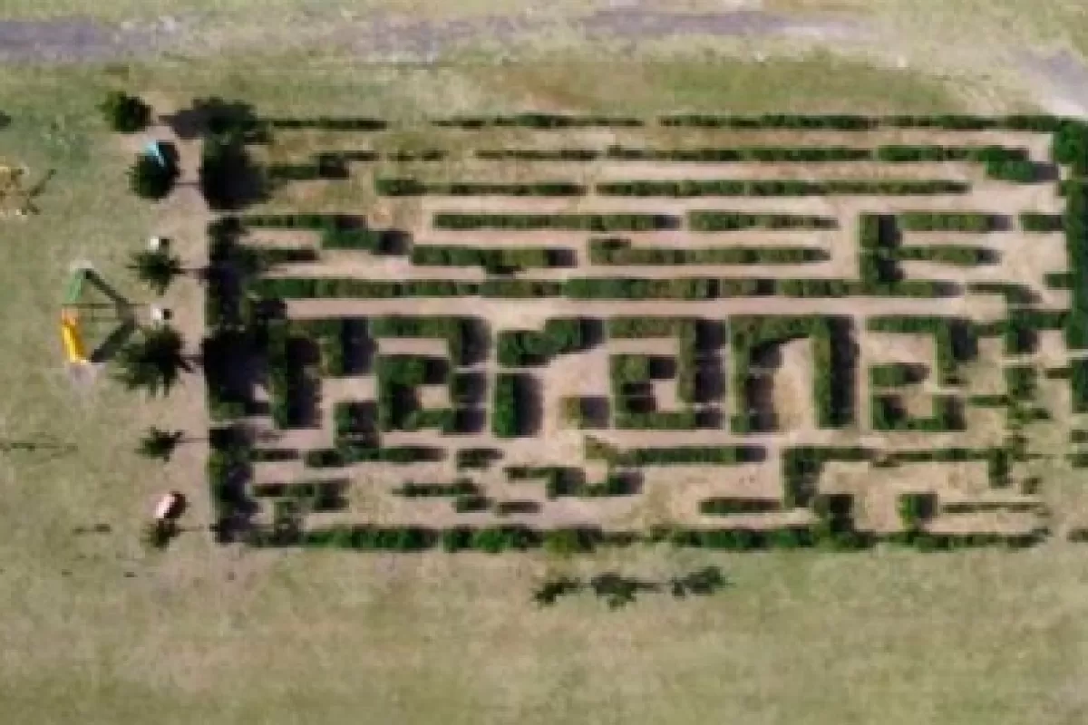 El Laberinto Paraná ya se puede disfrutar en el Parque Botánico