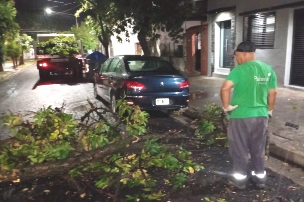 La Municipalidad despleg&oacute; un plan de contingencia ante la inclemencia clim&aacute;tica