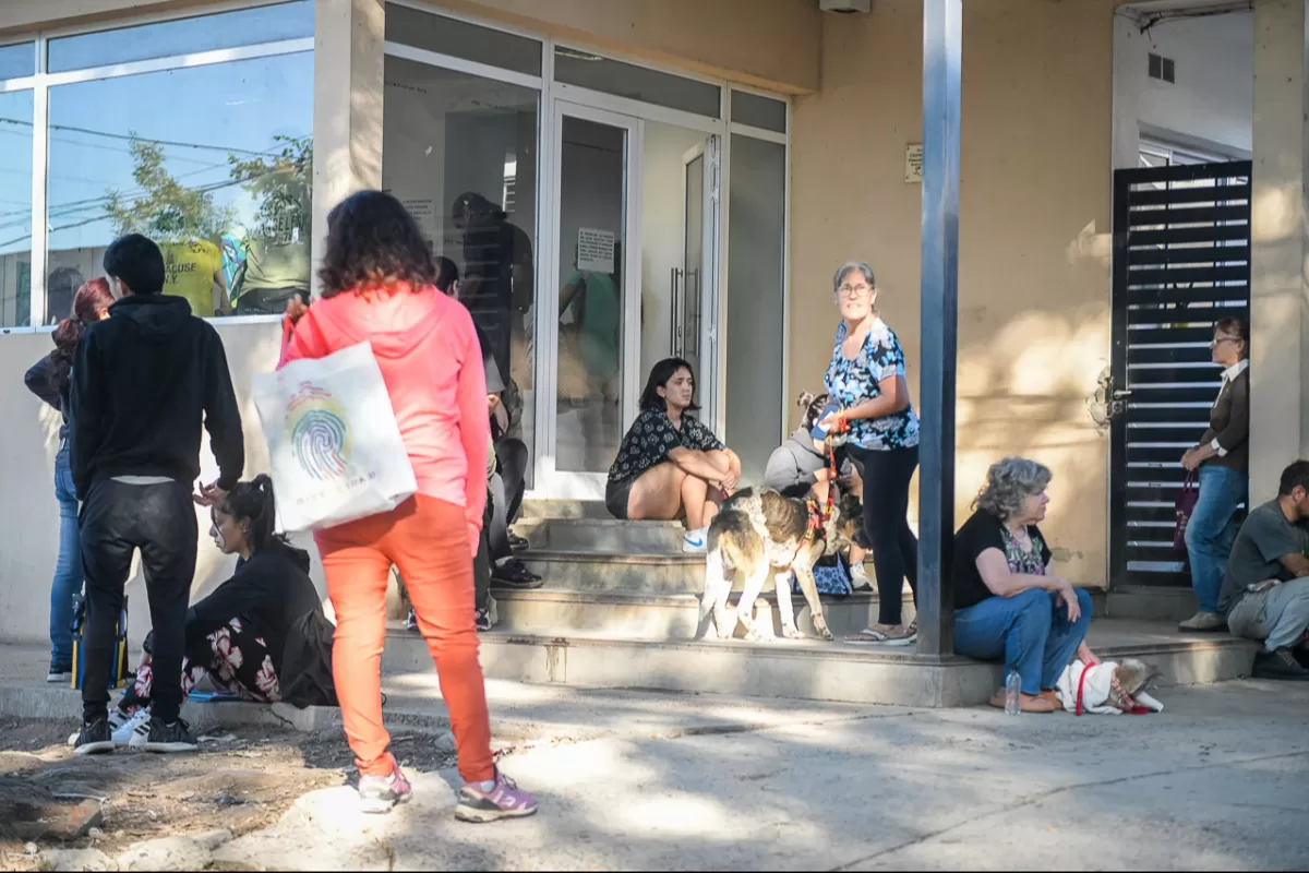 La Municipalidad no brinda servicio de transporte de mascotas