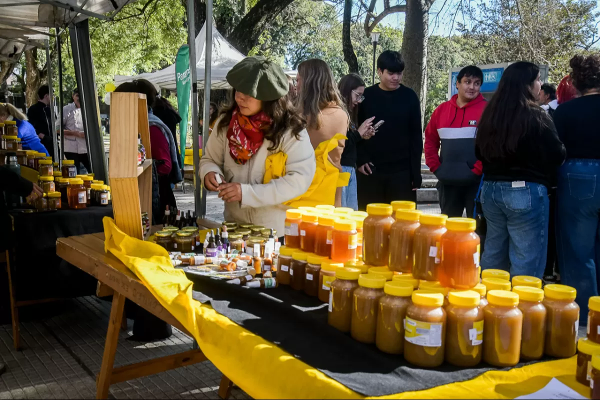 Semana de la Miel con ferias de producciones locales