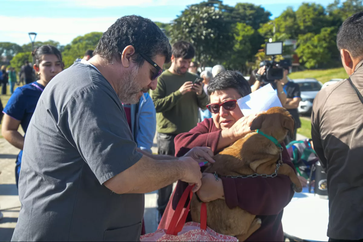 Paraná conmemoró el Día del Animal con una jornada de vacunación y educación