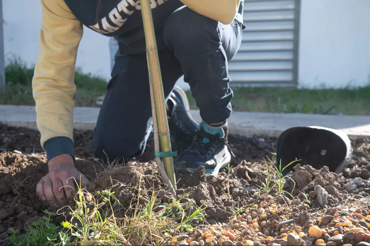 El Municipio realiz&oacute; una jornada por el D&iacute;a Mundial de la Tierra con jardineritos