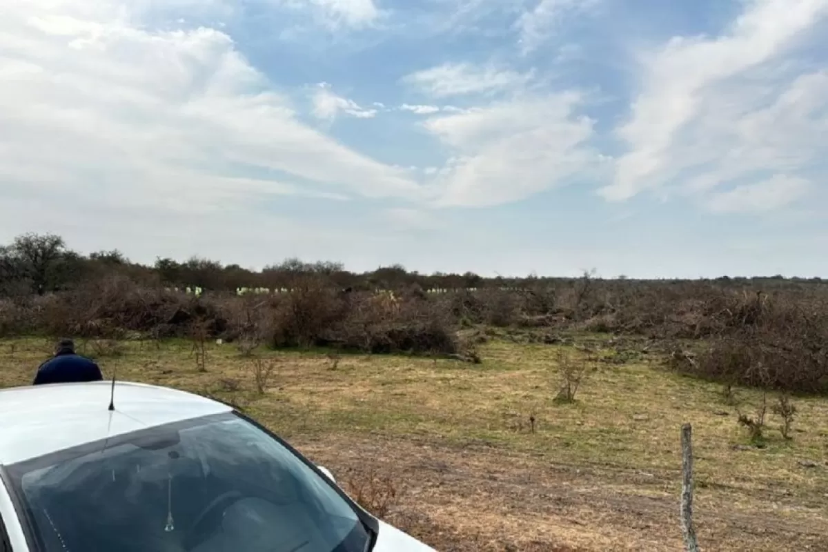 Con casi 200 policías, perros, máquinas para remover tierra y otras tecnologías buscan a Fabiani en una estancia