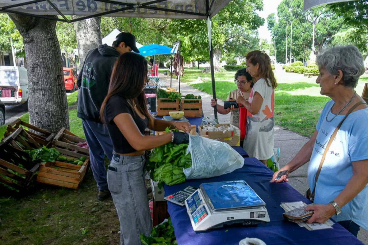 La Feria en tu barrio estar&aacute; en cuatro sectores de la ciudad