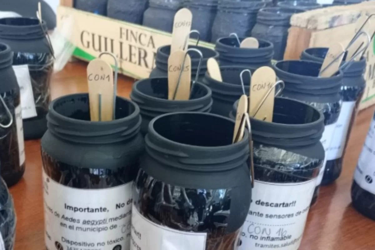 El Municipio realiza monitoreo de ovitrampas y operativos de desacacharrizaci&oacute;n