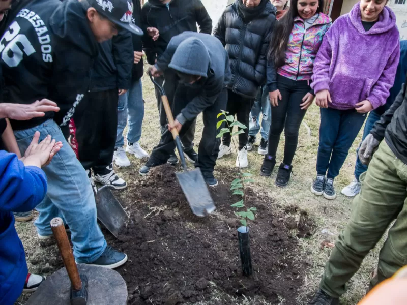 Refuerzan la plantaci&oacute;n de &aacute;rboles nativos en Paran&aacute;