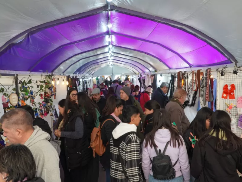 La Feria del Puerto invita a conocer las producciones locales y la región
