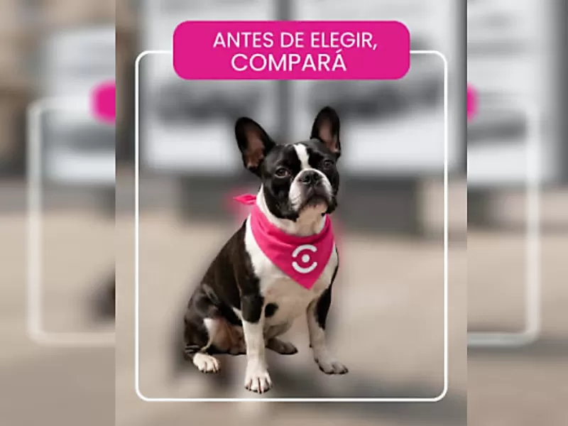 &iquest;Qu&eacute; tener en cuenta al asegurar un auto cuando vives cerca de una frontera?