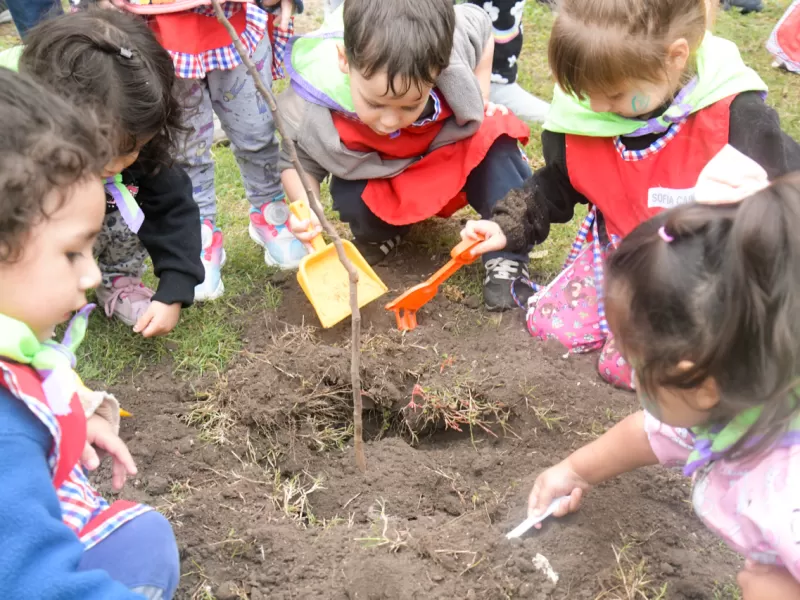 Alumnos realizaron plantación de árboles y participaron de una sensibilización ambiental