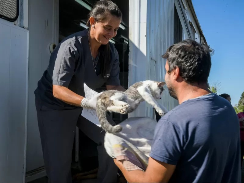 Fortalecen la salud animal con castraciones y vacunaciones en barrios de la ciudad