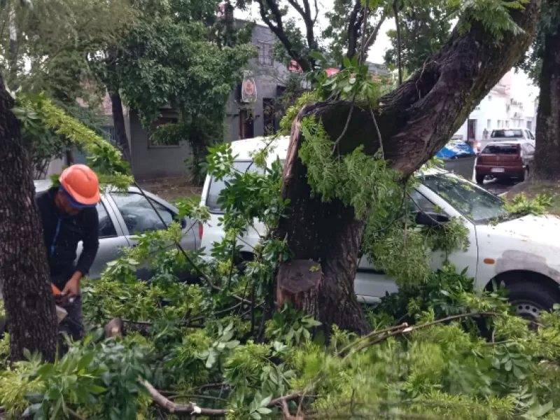 El Municipio brindó asistencia ante las lluvias