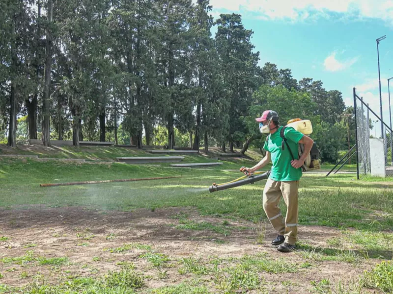 Refuerzan con fumigaciones peri&oacute;dicas el control de plagas y vectores