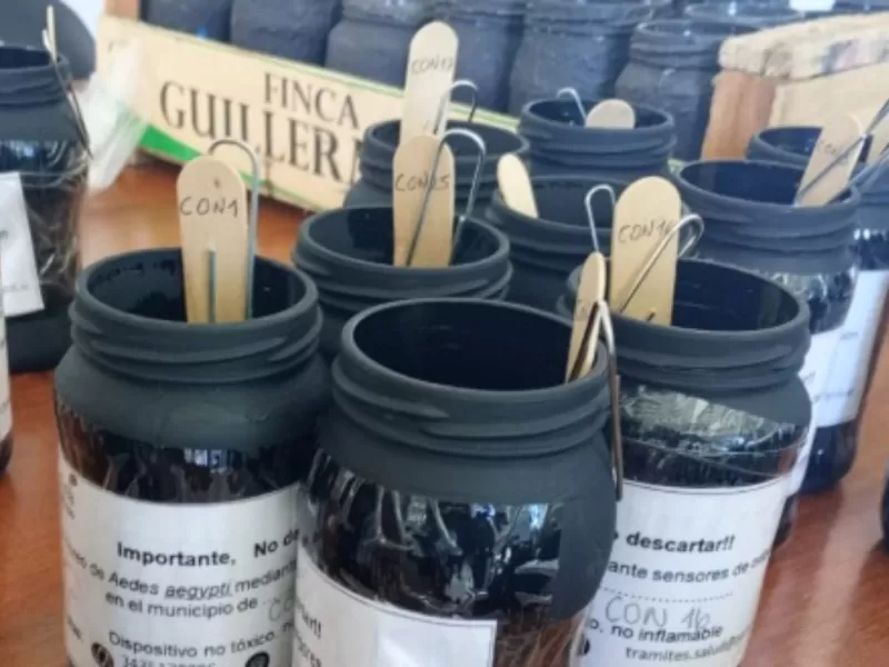 Paraná logró bajar los casos de dengue gracias a ovitrampas y descacharrización