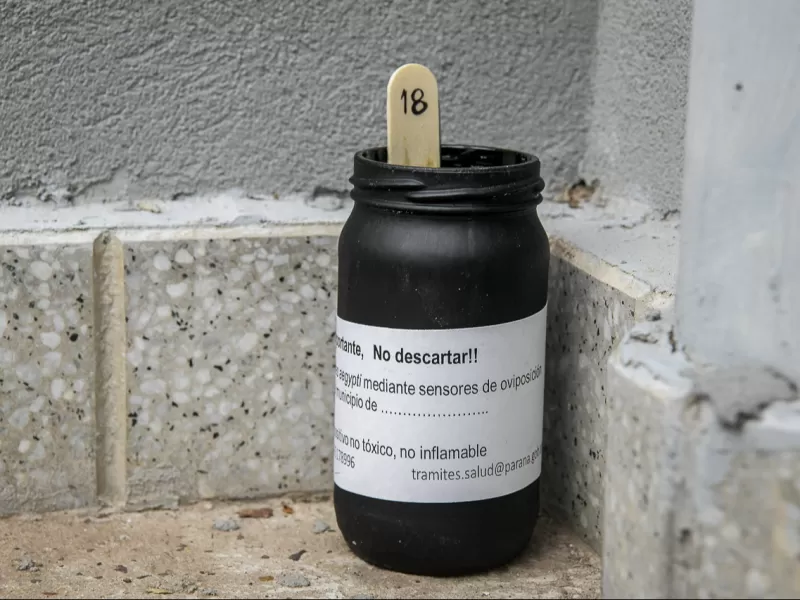 La Municipalidad instala ovitrampas para monitorear el mosquito Aedes Aegypti