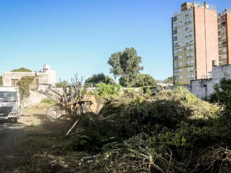 Continúan las intervenciones y limpieza en terrenos baldíos de la ciudad