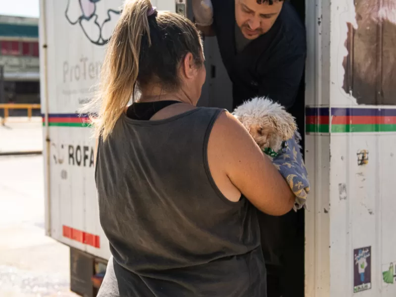 Contin&uacute;an los operativos gratuitos de salud animal en barrios de Paran&aacute;