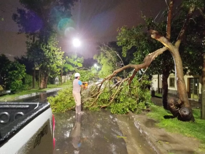 La Municipalidad asistió a 60 familias por el temporal en la ciudad