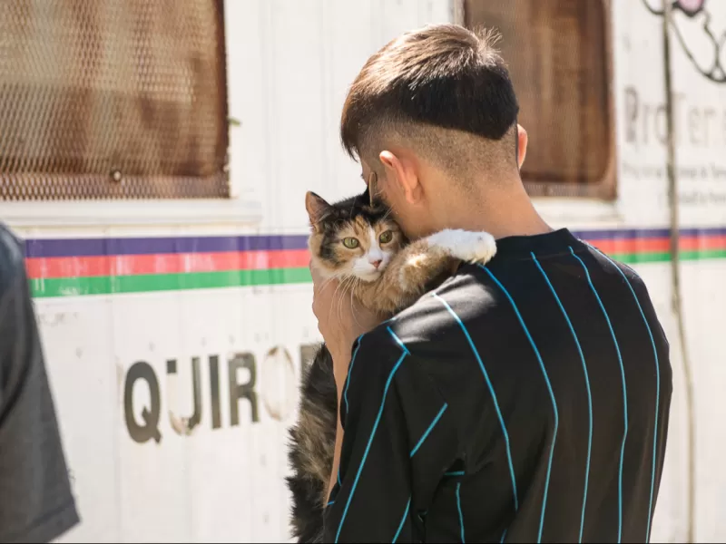 El Municipio contin&uacute;a con los operativos de castraciones y vacunaci&oacute;n antirr&aacute;bica