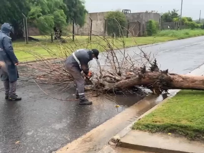 El Municipio atiende las contingencias en la ciudad por el temporal