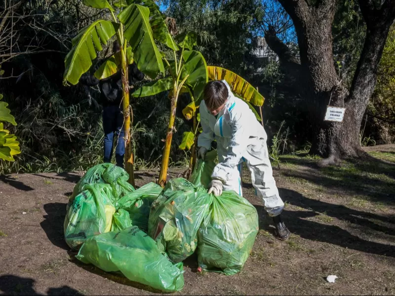 Realizaron una jornada de sensibilización y limpieza en el arroyo Colorado