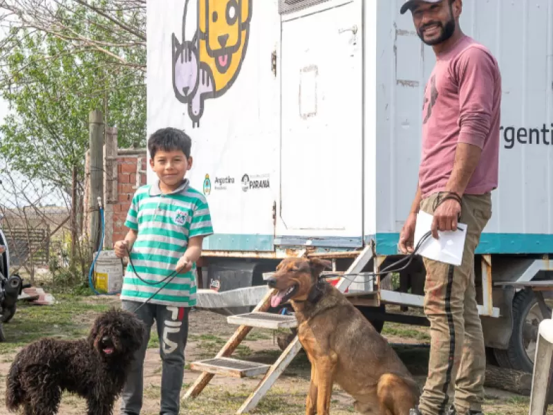 Retoman el servicio de castraciones de mascotas en barrios de la ciudad