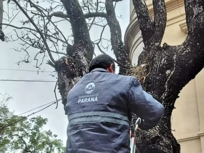 Continúan los controles por cartelería no autorizada en espacios públicos