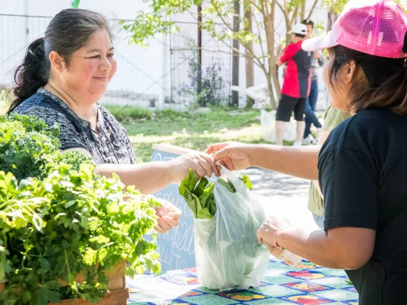 La Feria en tu Barrio estuvo en la Vecinal Los Pinos