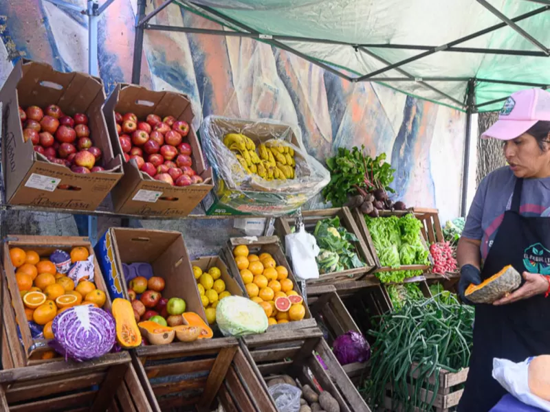 La Feria en tu Barrio contin&uacute;a esta semana a tres puntos de Paran&aacute;
