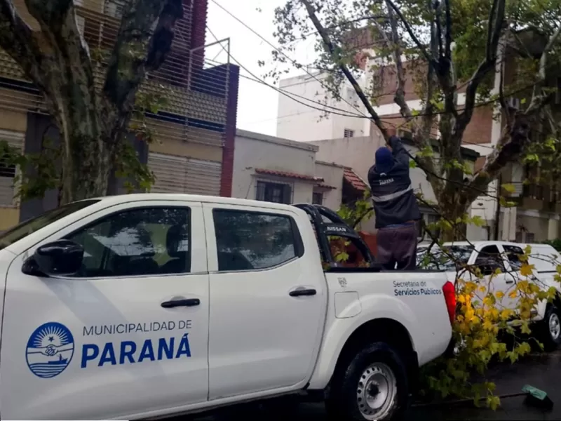 El Municipio atiende las contingencias en la ciudad por la lluvia y viento