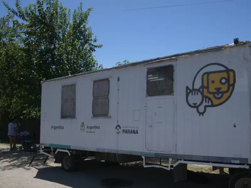 El Municipio contin&uacute;a con castraciones en dos barrios esta semana