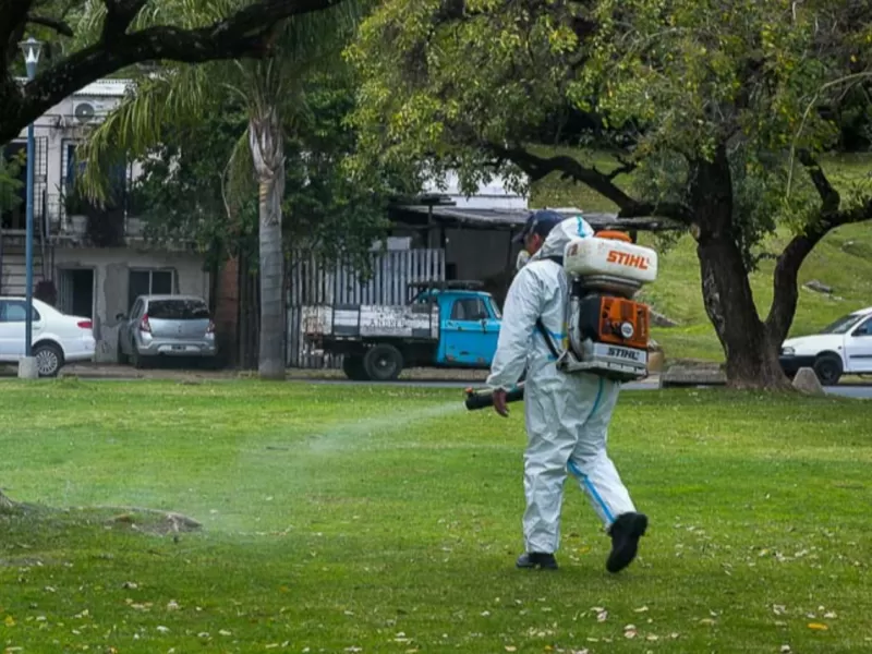 La Municipalidad comenzó con la campaña de fumigación contra mosquitos