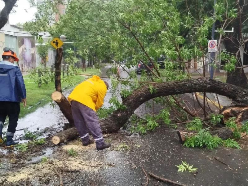 La Municipalidad asiste a familias afectadas por la lluvia